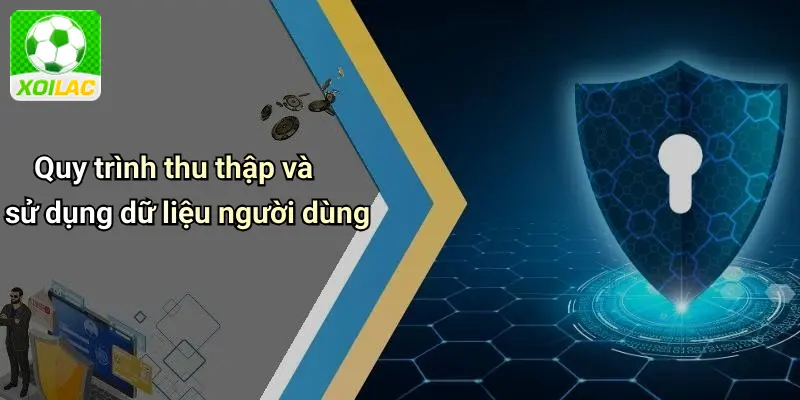 Quy trình thu thập và sử dụng dữ liệu người dùng