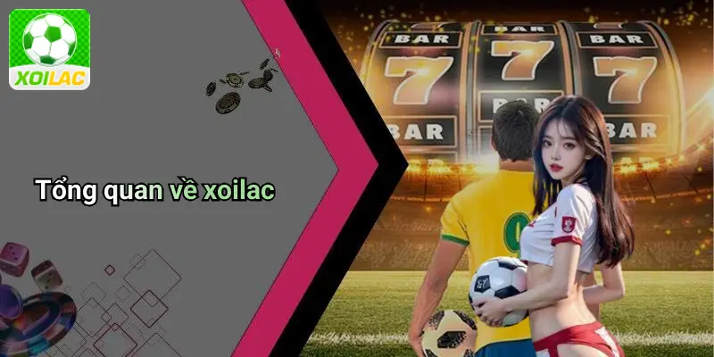 Tổng quan về xoilac