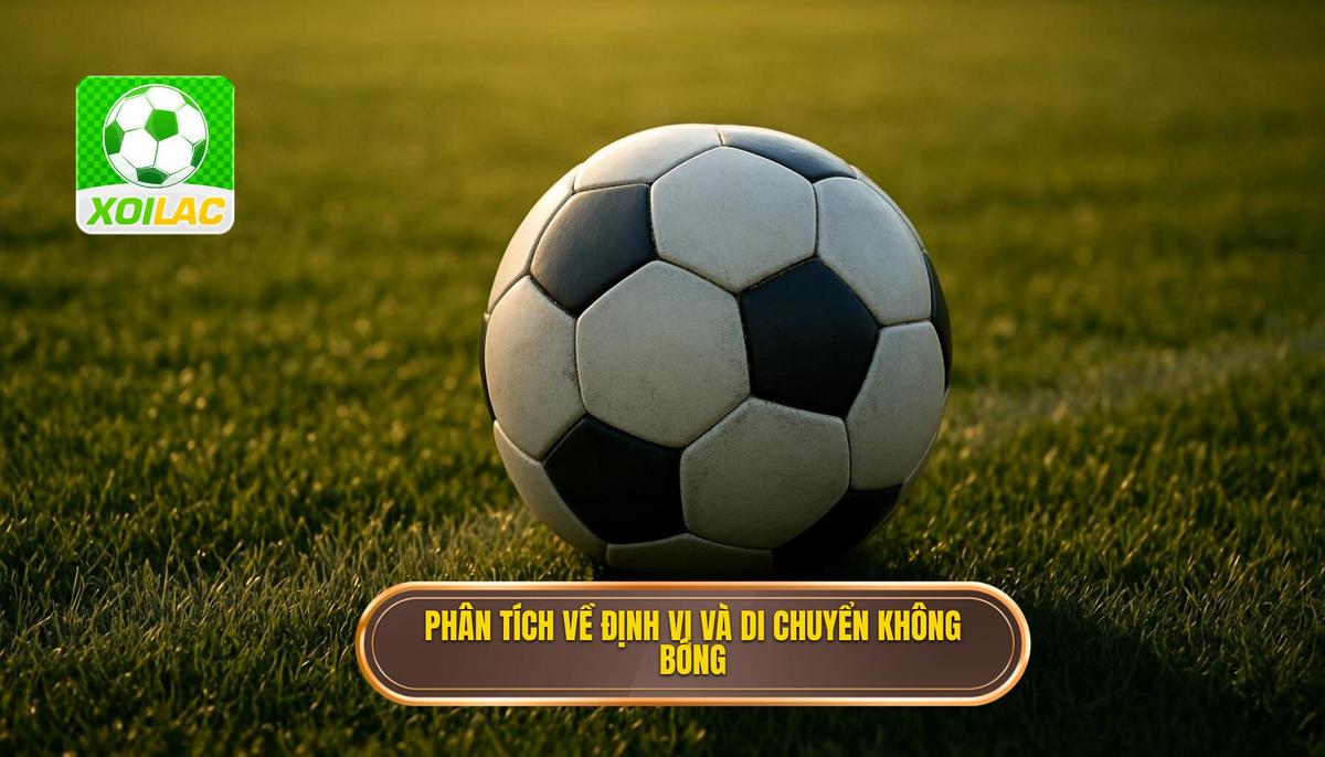 Phân tích chuyên sâu về Định vị và Di chuyển không bóng