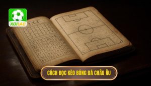 Cách đọc kèo bóng đá châu Âu