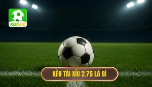 Kèo tài xỉu 2.75 là gì