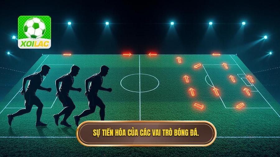 2. Sự tiến hóa của các vai trò bóng đá.