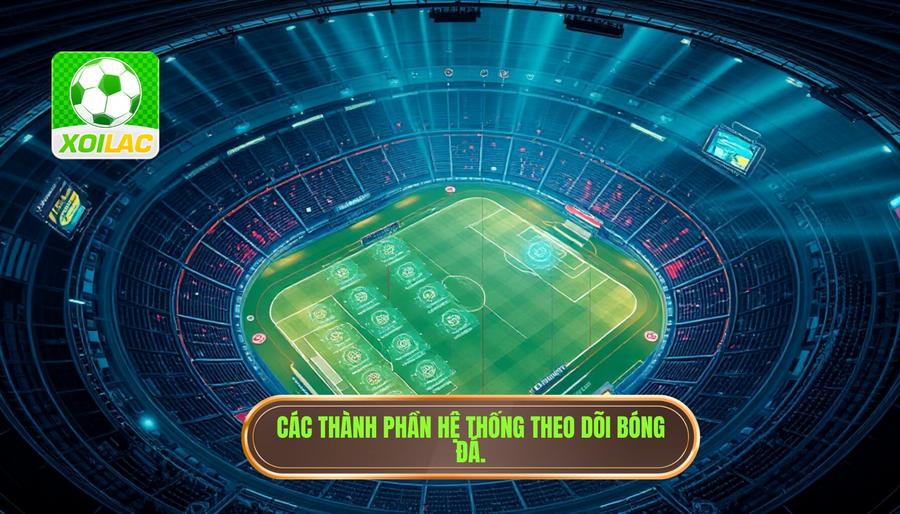 Các thành phần hệ thống theo dõi bóng đá