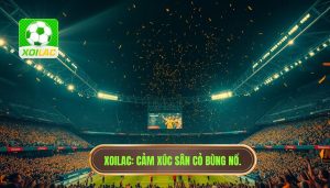 XOILAC_ Cảm xúc sân cỏ bùng nổ
