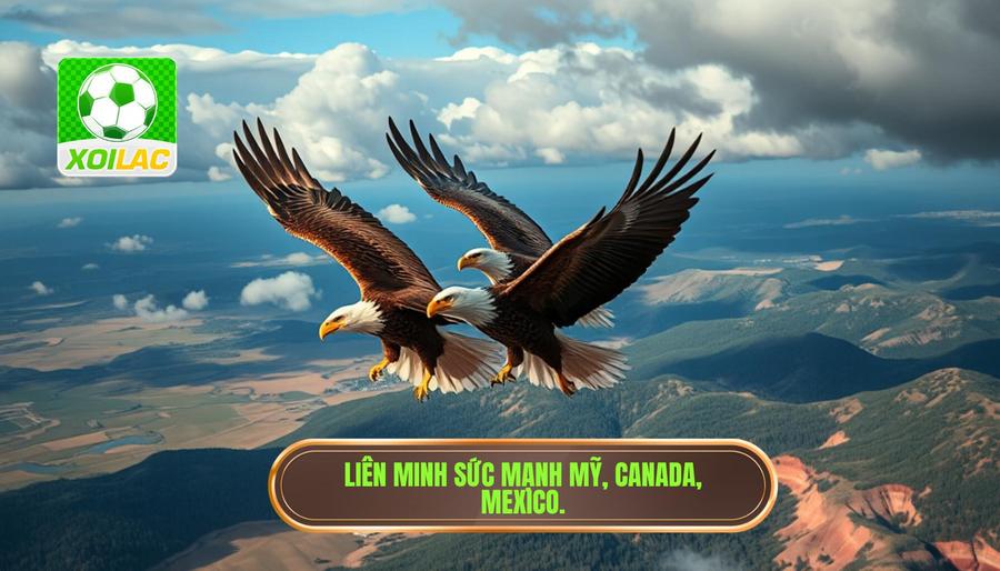 Sức mạnh từ sự liên minh: Mỹ, Canada và Mexico