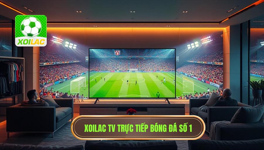 Tại sao Xoilac TV trực tiếp bóng đá trở thành lựa chọn số 1? Tại sao Xoilac TV trực tiếp bóng đá trở thành lựa chọn số 1?